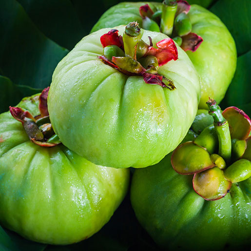 Garcinia Cambogia | Gaya Ceylon Food